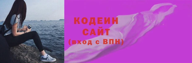 прущий лед Алзамай