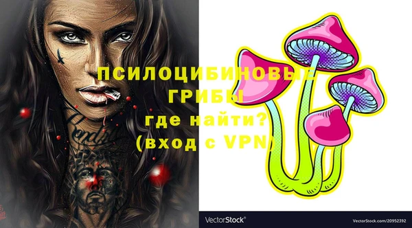 прущий лед Алзамай
