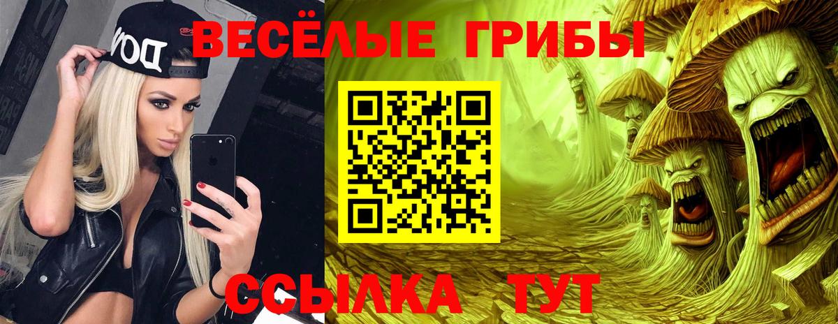 купить наркоту  Вход с VPN  Менделеевск  Галлюциногенные грибы GOLDEN TEACHER 